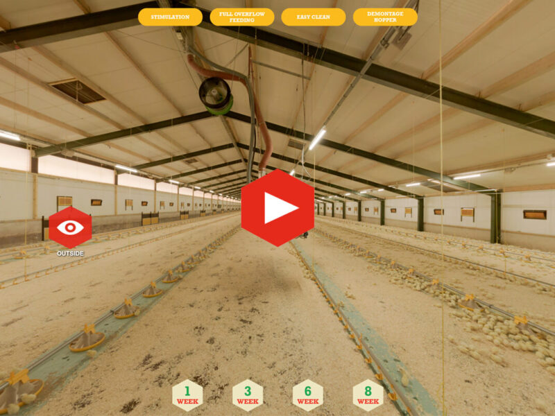 Virtuele tour Landmeco - kijk mee in een pluimveestal